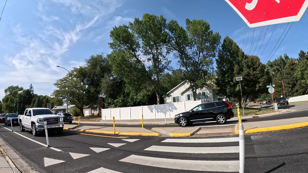 crossing guard 6_1.11.1.jpg