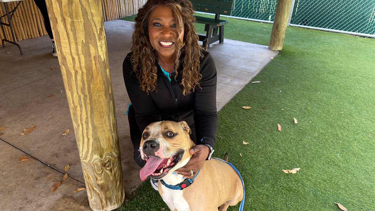 Tania & Thor Underdog