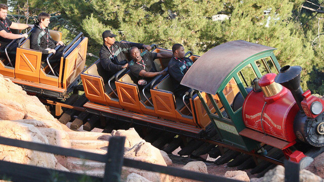 Disney World Coaster Helps Pass Kidney Stones