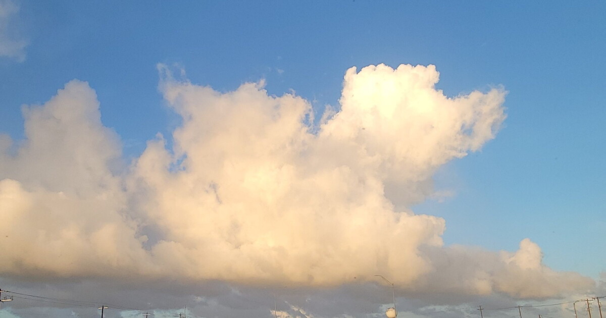 Saturday's Forecast: Partly cloudy skies with a moderate breeze