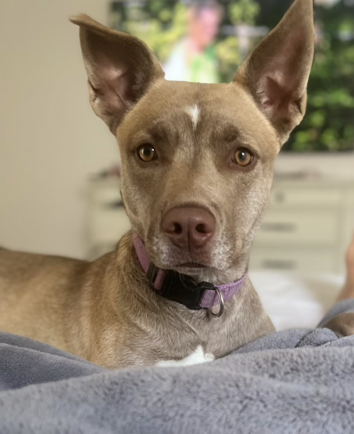 Stella was 2-years-old when she was shot and killed