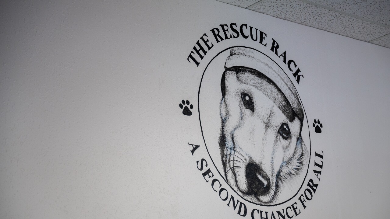 PAWS new store-3.jpg