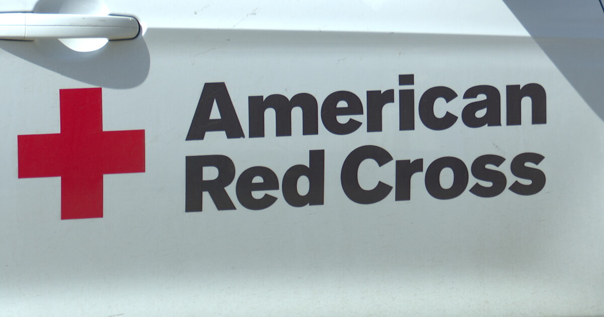 Bobcats beat the Griz in this year's Red Cross of Montana Blood Battle - Vimarsana News
