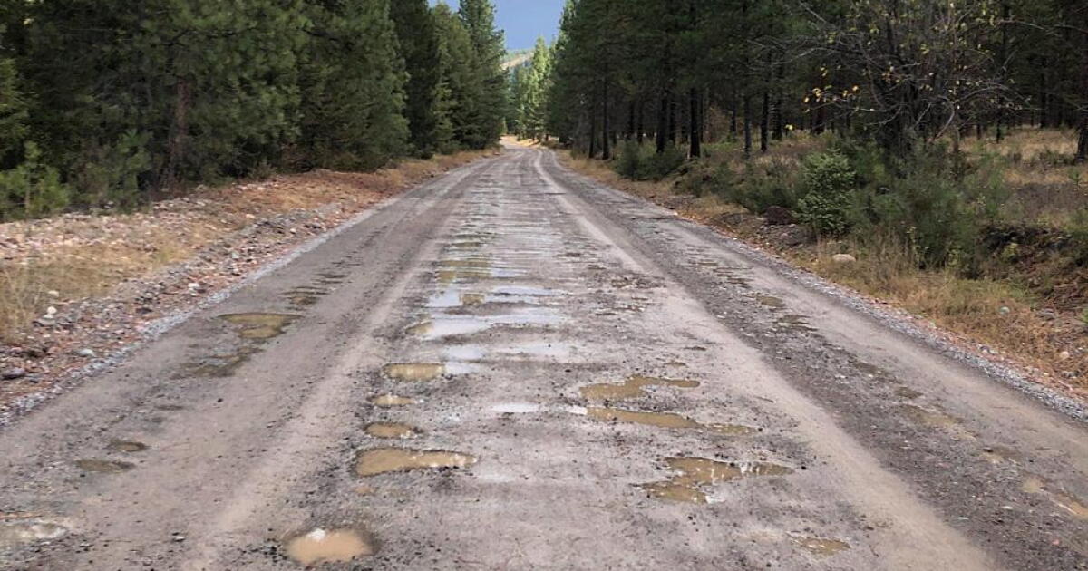 Judge hears arguments on Flathead forest roads, grizzlies - Vimarsana News