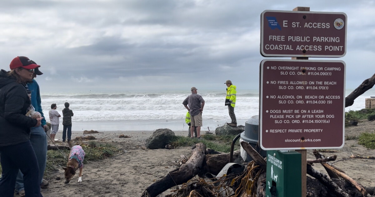 High surf brings wave of onlookers and business to Cayucos - Vimarsana News
