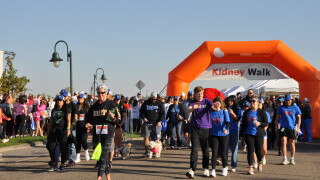 Denver Kidney Walk 2025