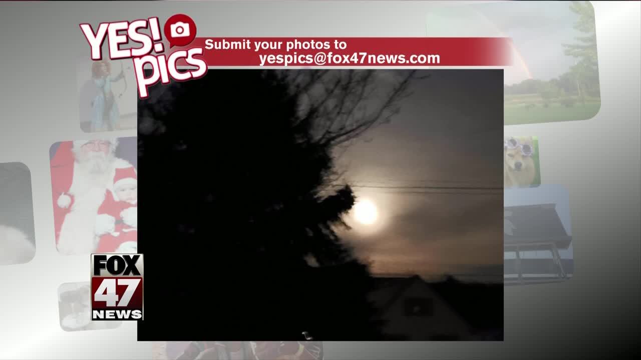 Yes! Pics - 3/14/19a