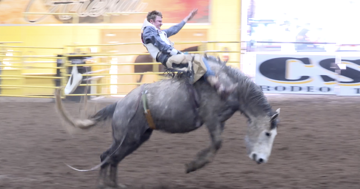 Team Csi Rodeo Home dirt: CSI Rodeo Team ready to host their 48th annual ...