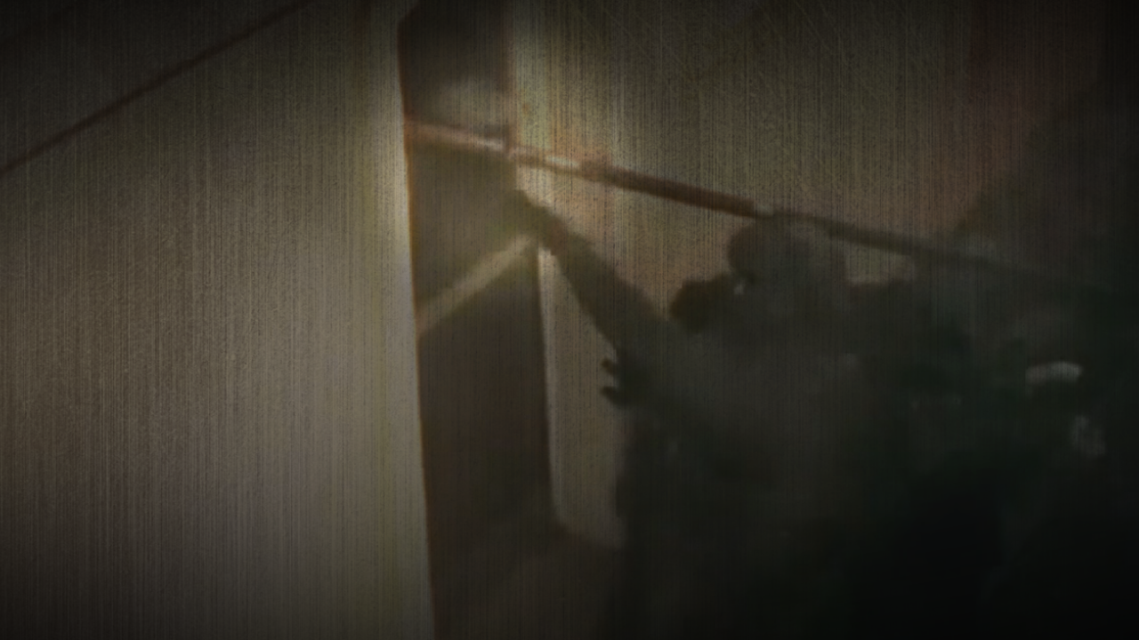 grenade into house.png