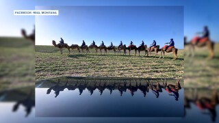 REAL Montana