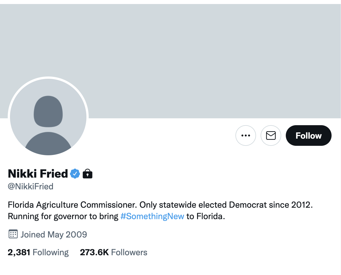 Nikki Fried's Twitter account as it looked morning of March 20, 2022