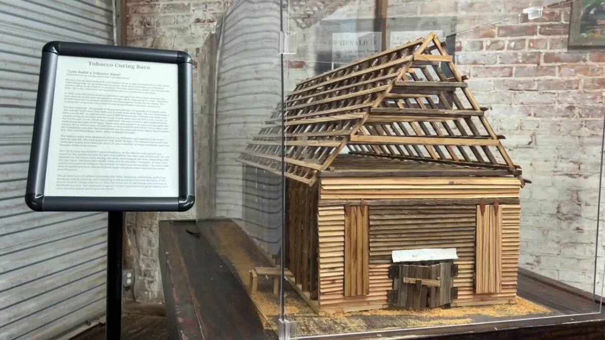 tobacco leaf tallahassee Smokeshop and Glass Gallery Florida US Florida Big Cuban Tobacco -