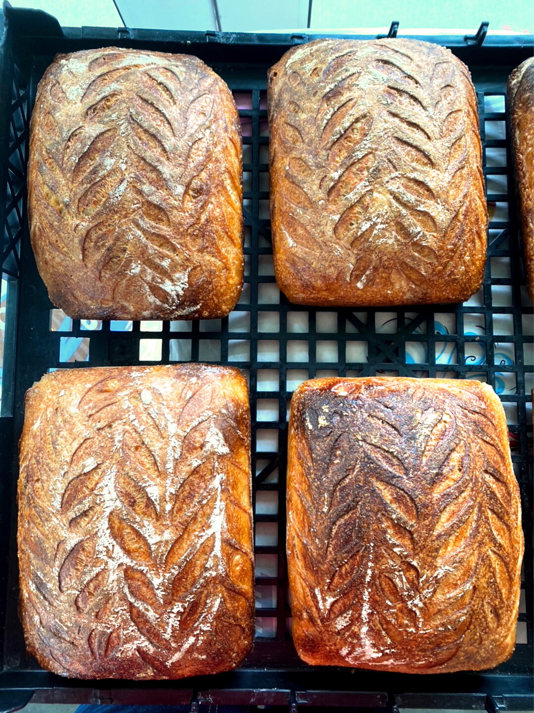 BreadHQ.jpg