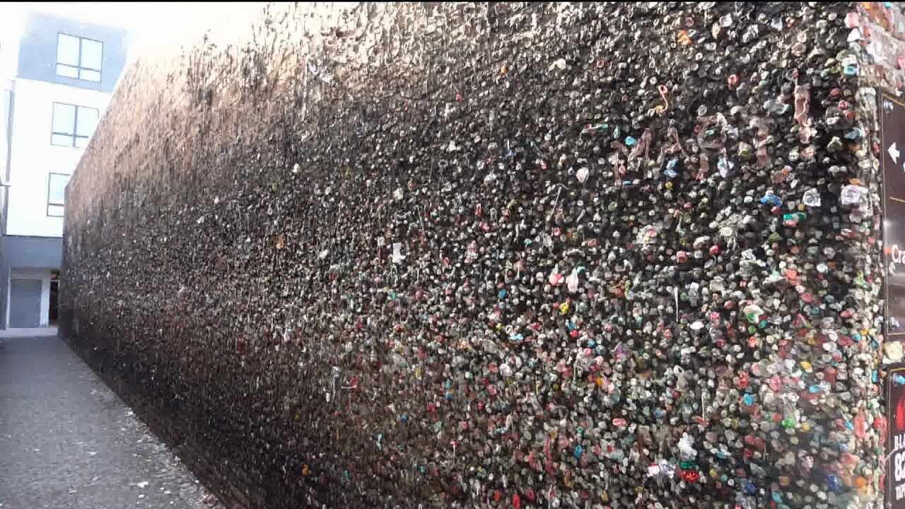 GUM5.jpg