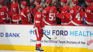 Devils Red Wings Hockey