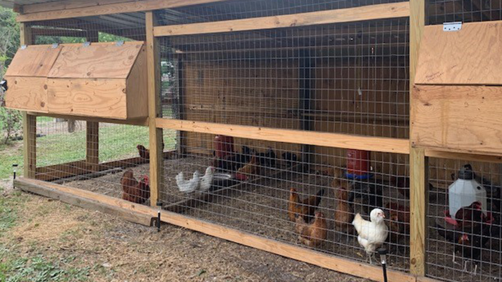 Tampa-farm-002.png