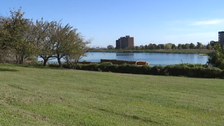 Druid Lake Reservoir