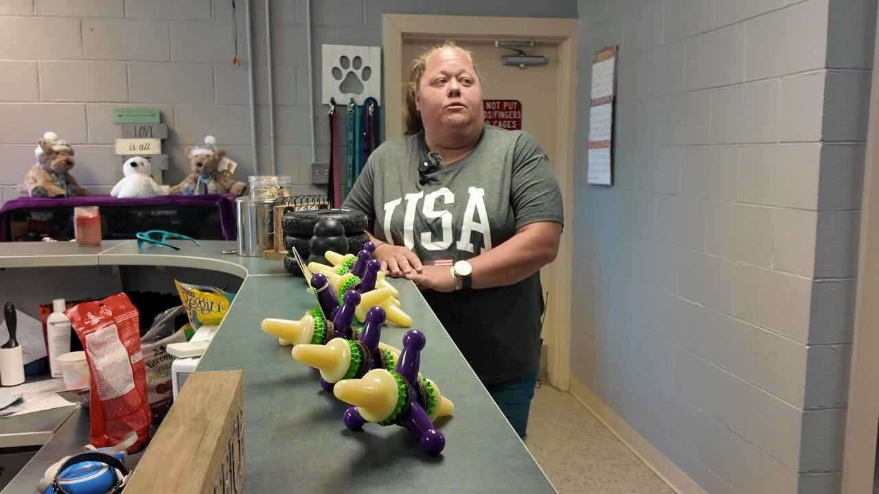 Poster image - 2024-07-04T170628.707.jpg