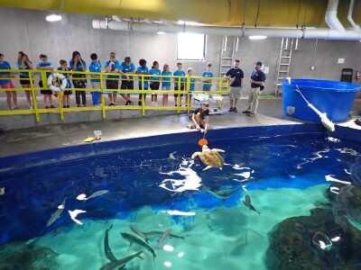 Camp Ocean at OdySea Aquarium