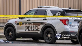 Suspect in custody after stabbing leaves victim in critical condition