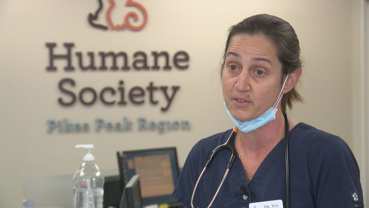 Sue Lynch, HSPPR chief veterinarian