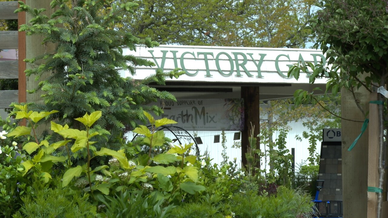 MII VICTORY GARDENS MINI 4.jpg