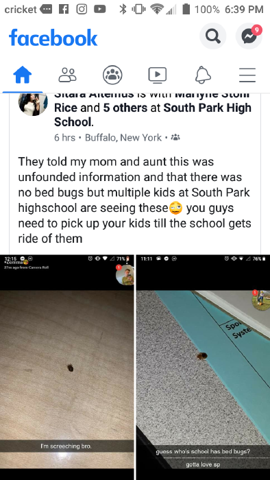 BED-BUGS.png