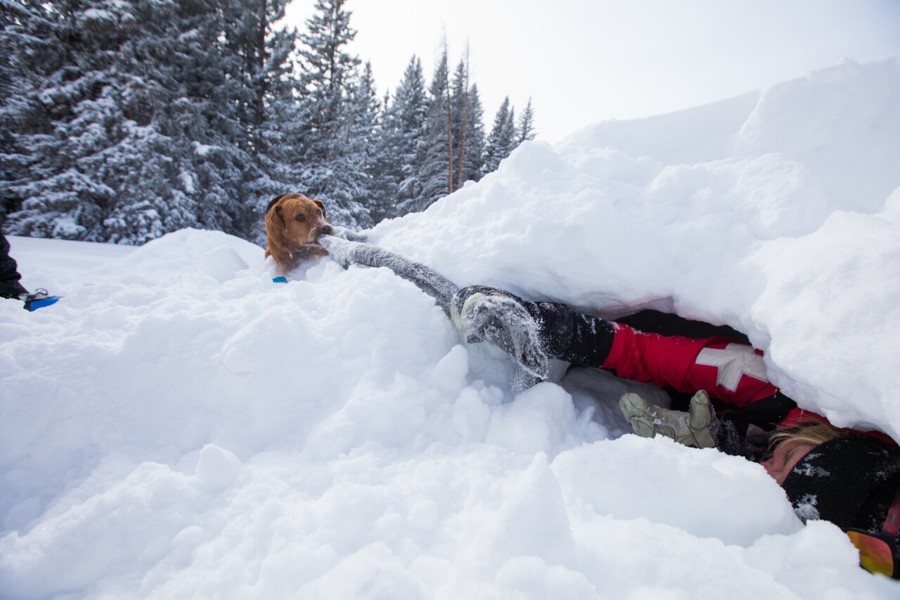 2020_6th annual Winter Course_courtesy Dave Camara 3.jpg