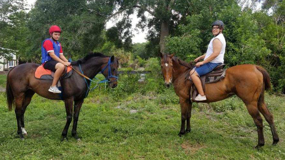 TWO-STOLEN-HORSES.png