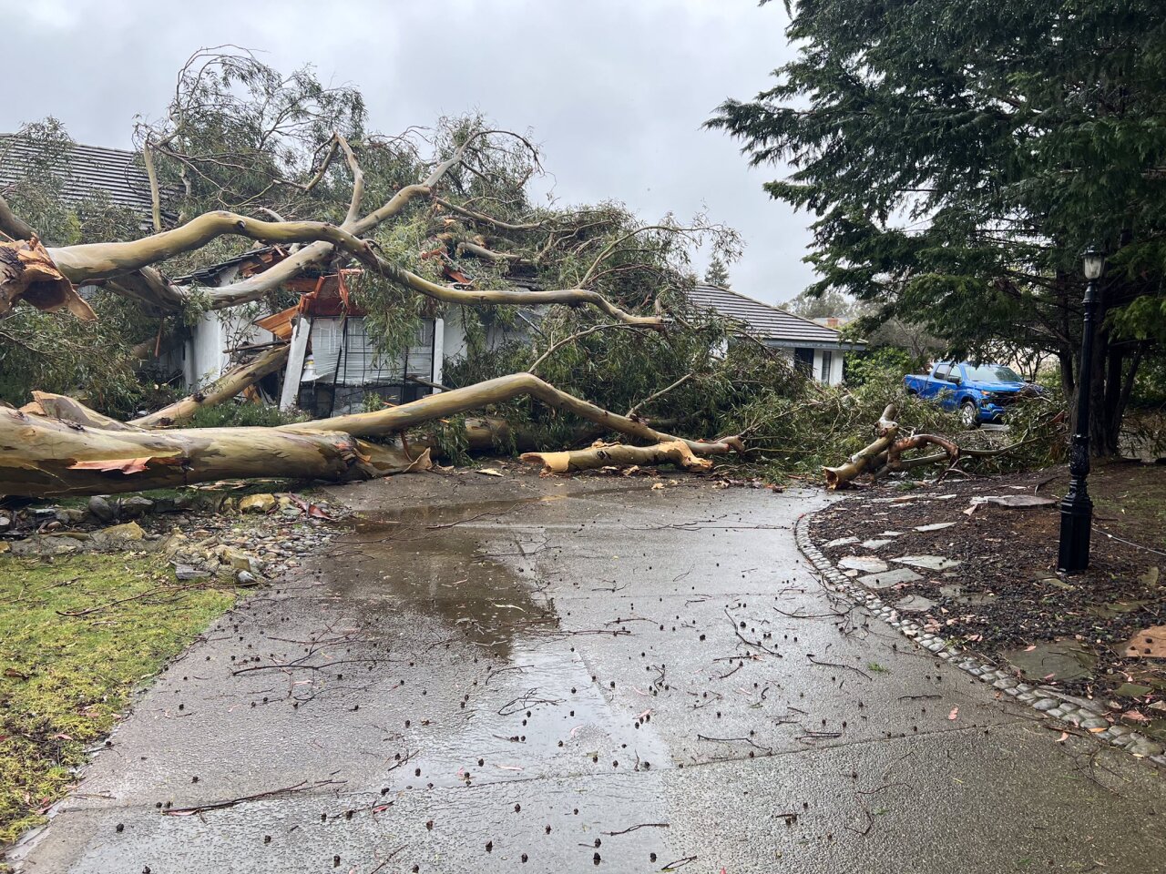 tree into house orcutt.jpg