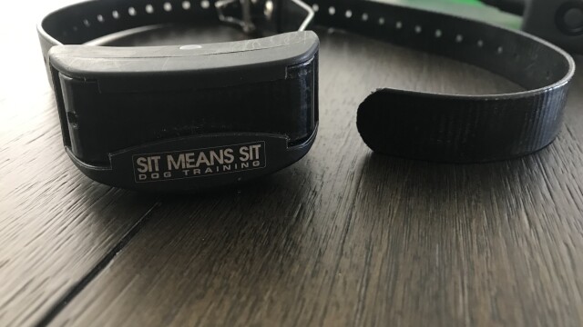 Sit Means Sit shock collar