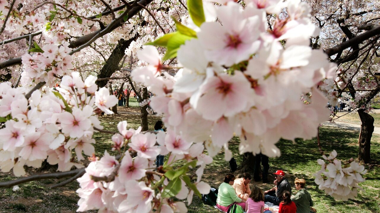 The first day of spring is here Heres what you should know about