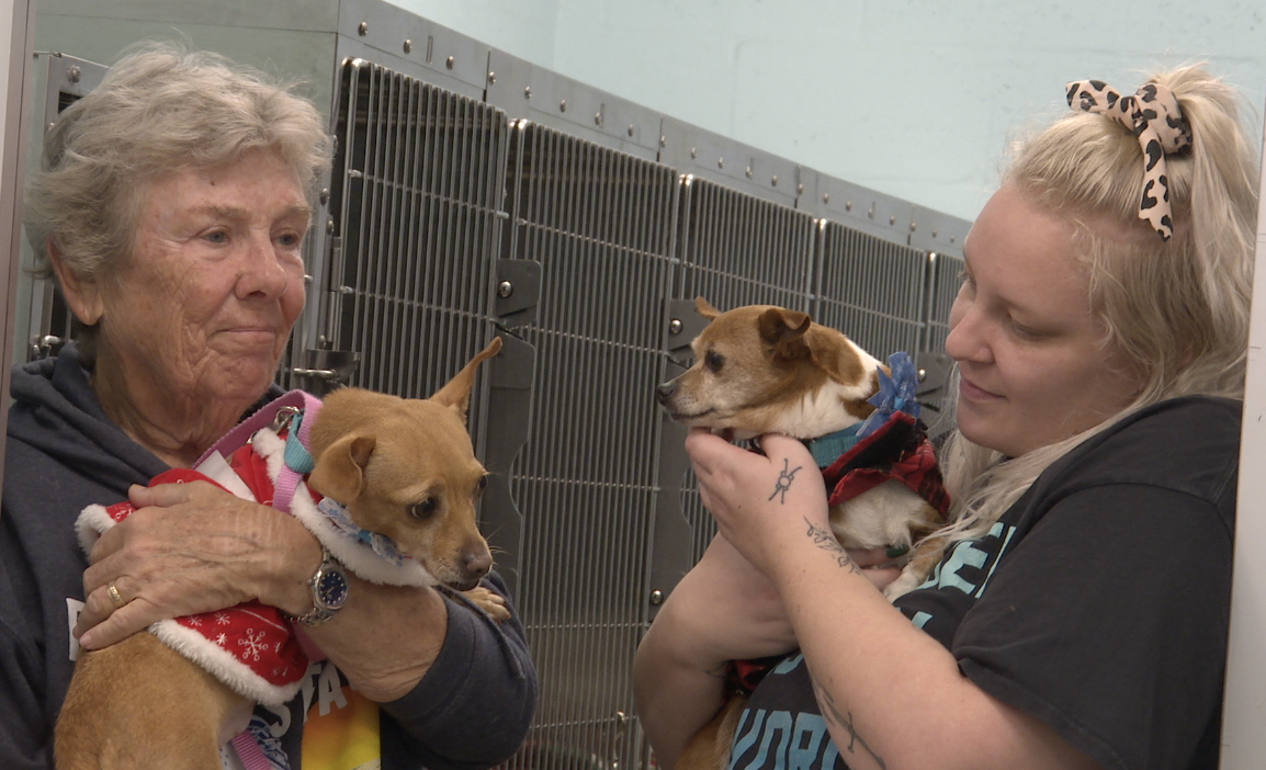 Cape Coral Animal Shelter