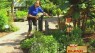 Garden Go-To's / MasterSteph 6/6/16