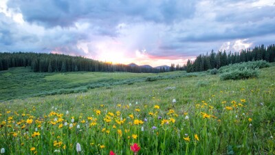Spring storm chances 
