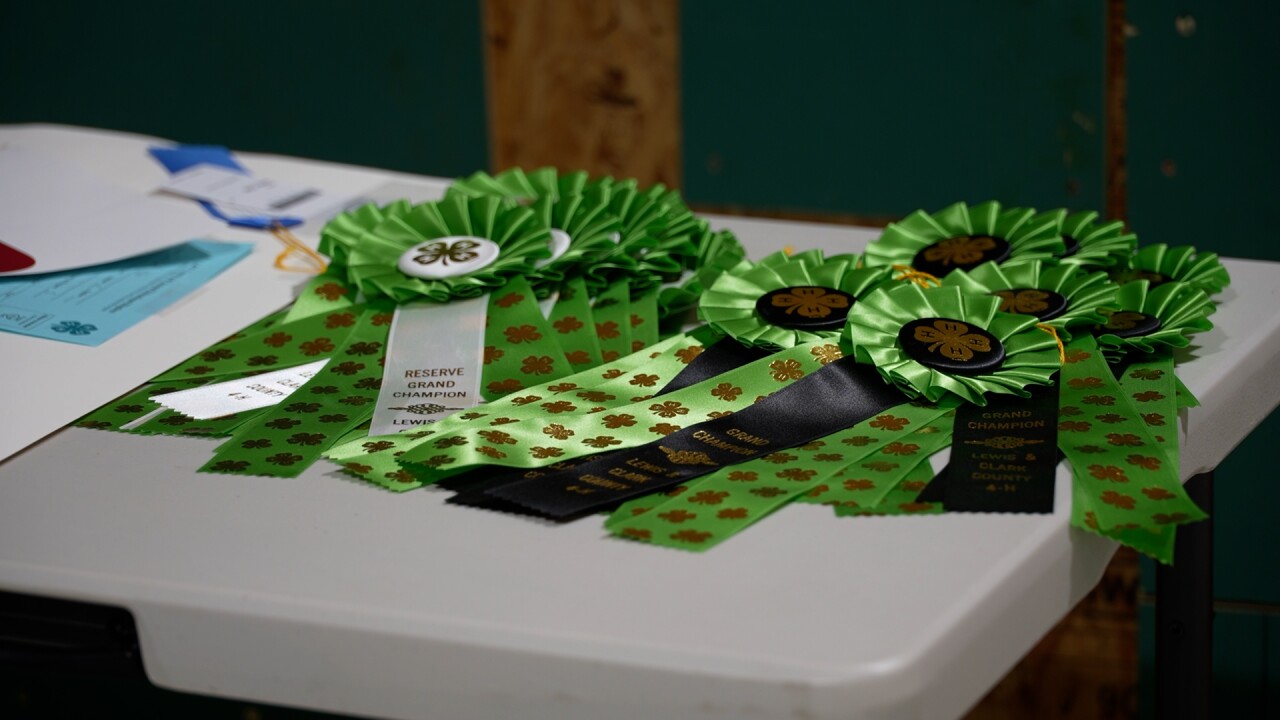 4-H ribbons