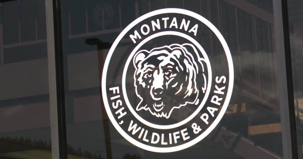Montana FWP transitions to digital for fishing and hunting licenses