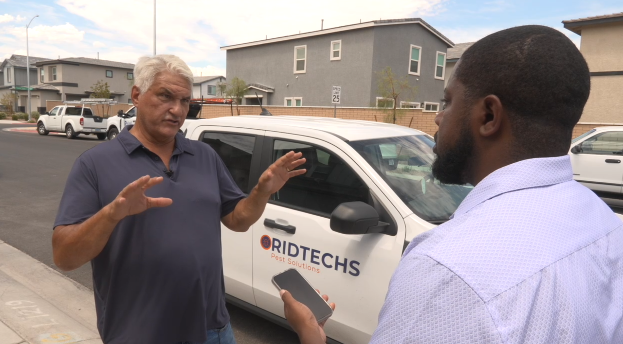 Free pest control offered amid Henderson cockroach invasion