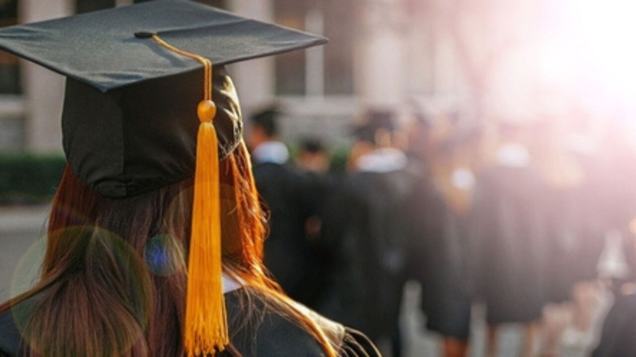 Higher education