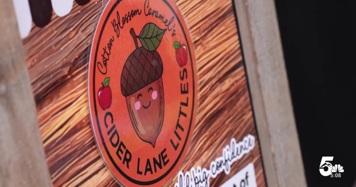 Black Forest shop offering an opportunity for local kids to run a cider (and lemonade) stand