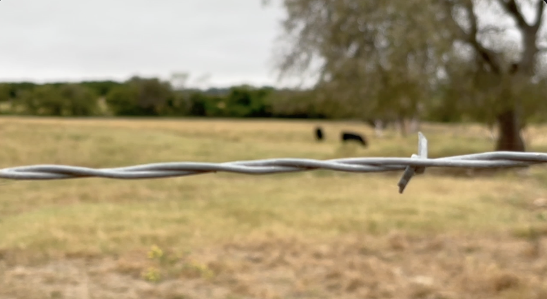 SpaceX Terafab neighbors face life-changing land buy offers outside reinvestment zone