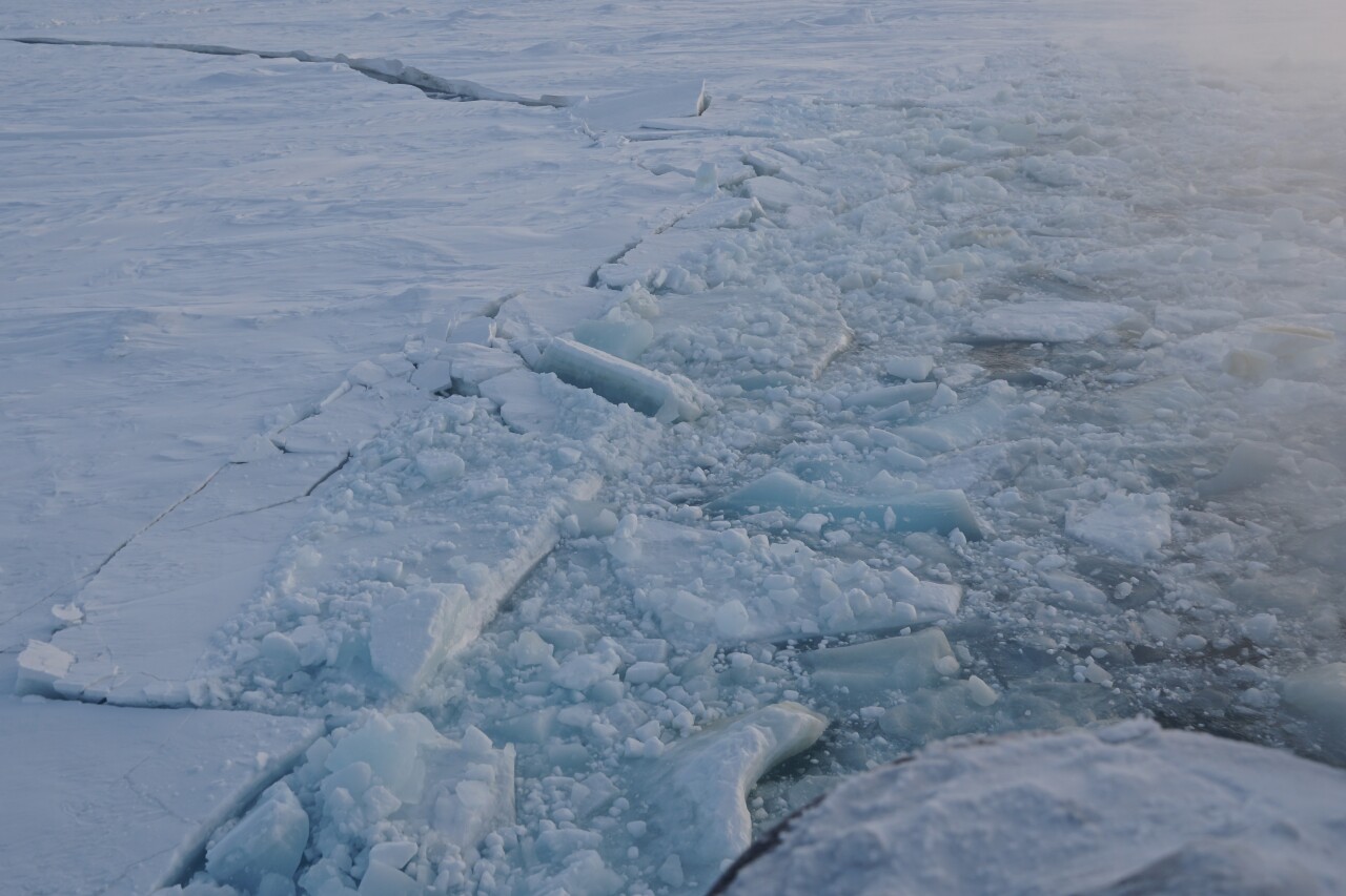 arctic sea ice_National Snow and Ice Data Center