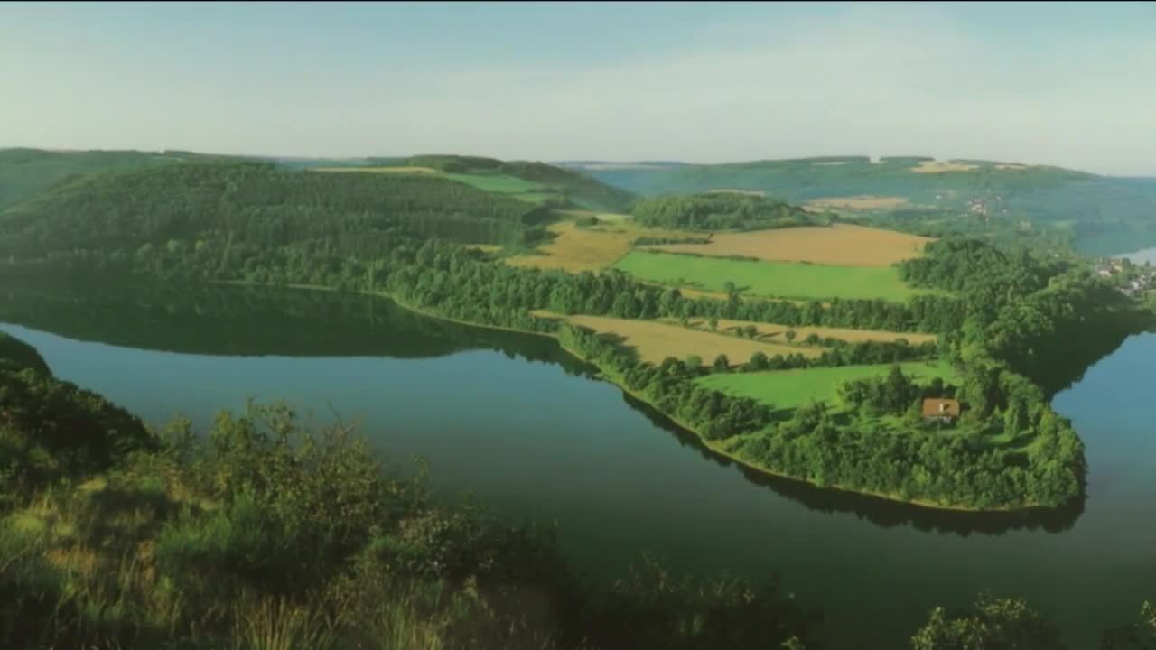 Poster image - 2021-08-25T221537.715.jpg