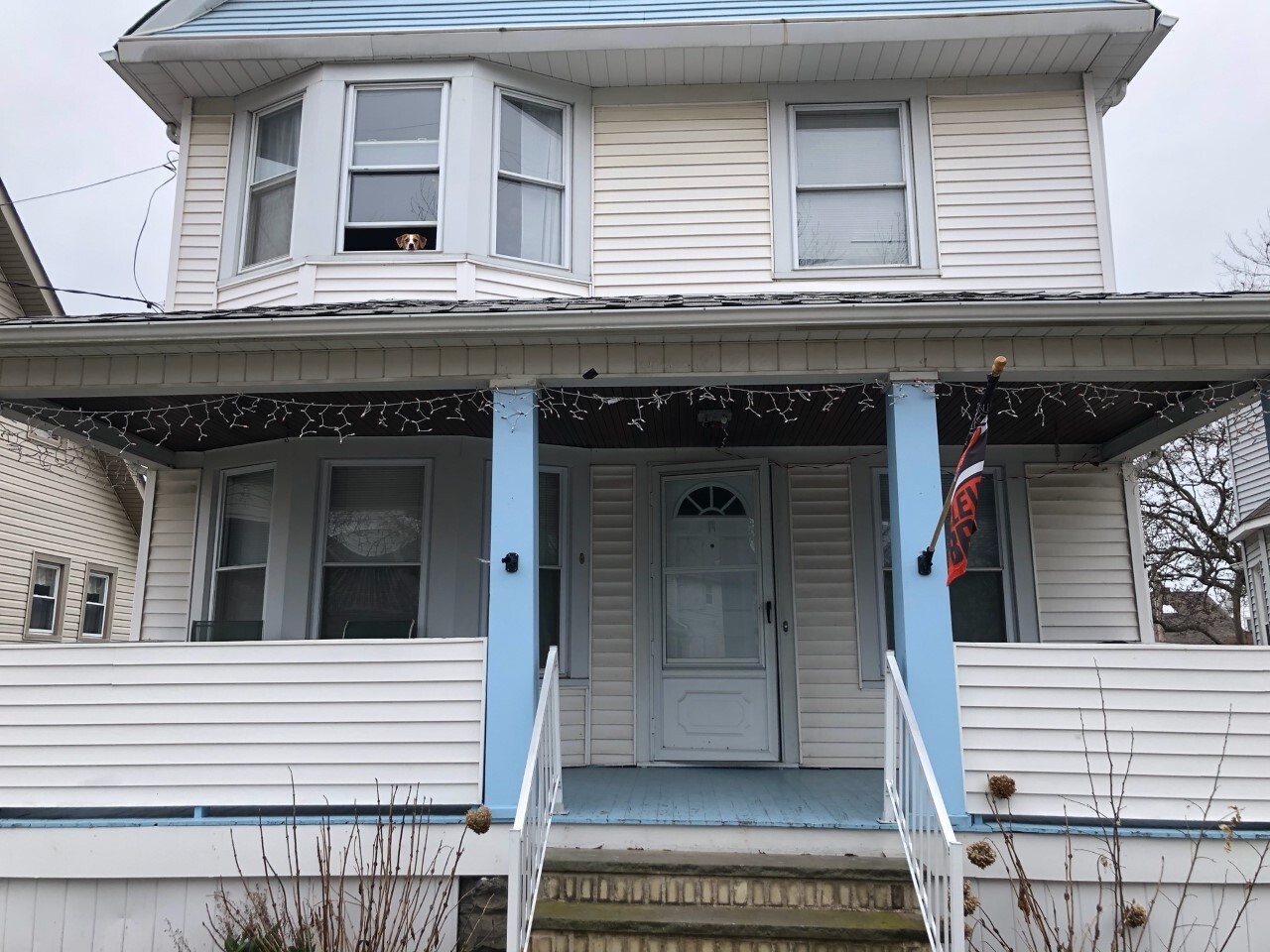 Lakewood Christmas lights