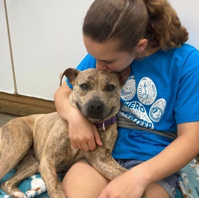 Dottie - laying with kid