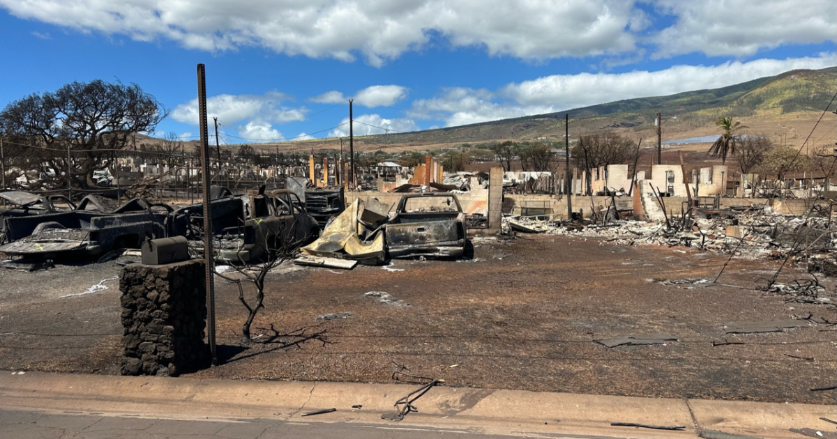Project DYNAMO concerned about initial government response to Maui fires - Vimarsana News
