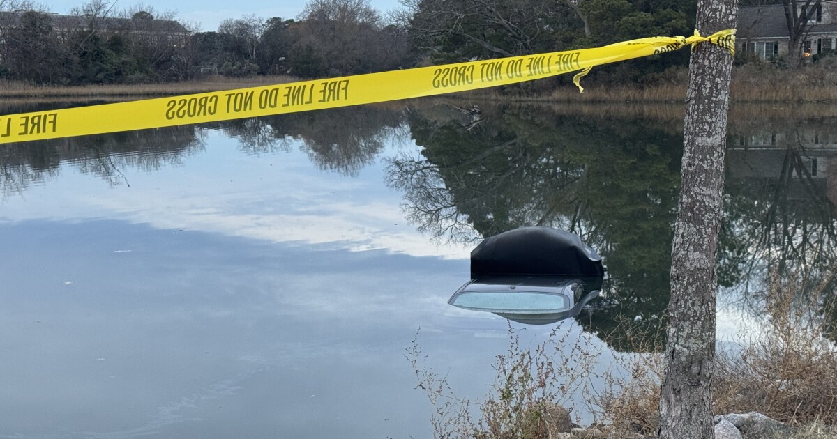 'It's just wild:' Business owners react after car crashes into Norfolk retention pond