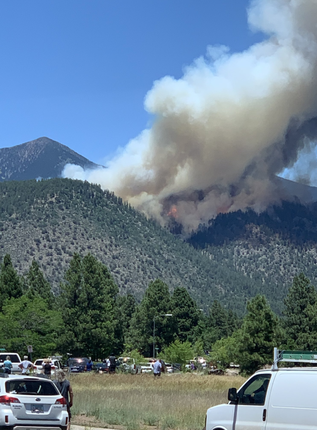 PHOTOS: Museum Fire burning north of Flagstaff PHOTOS: Museum Fire burning north of Flagstaff