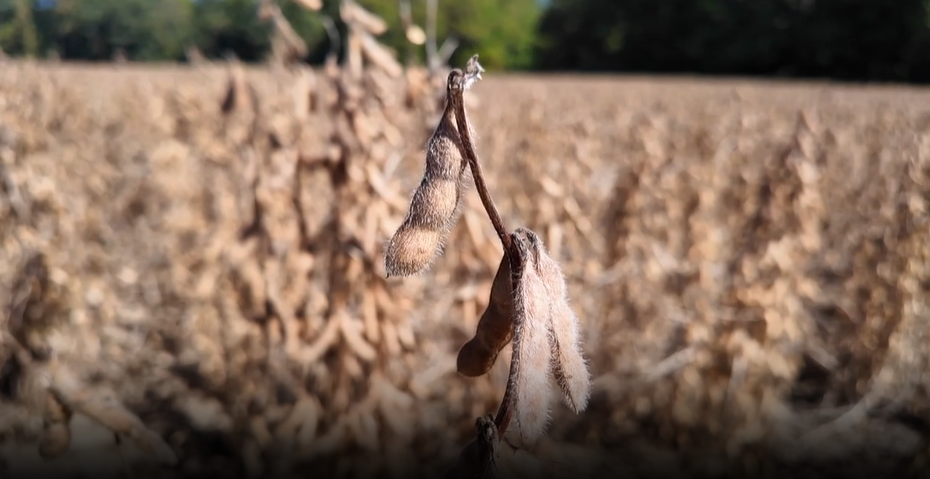 Screenshot 2025-09-30 201231.png