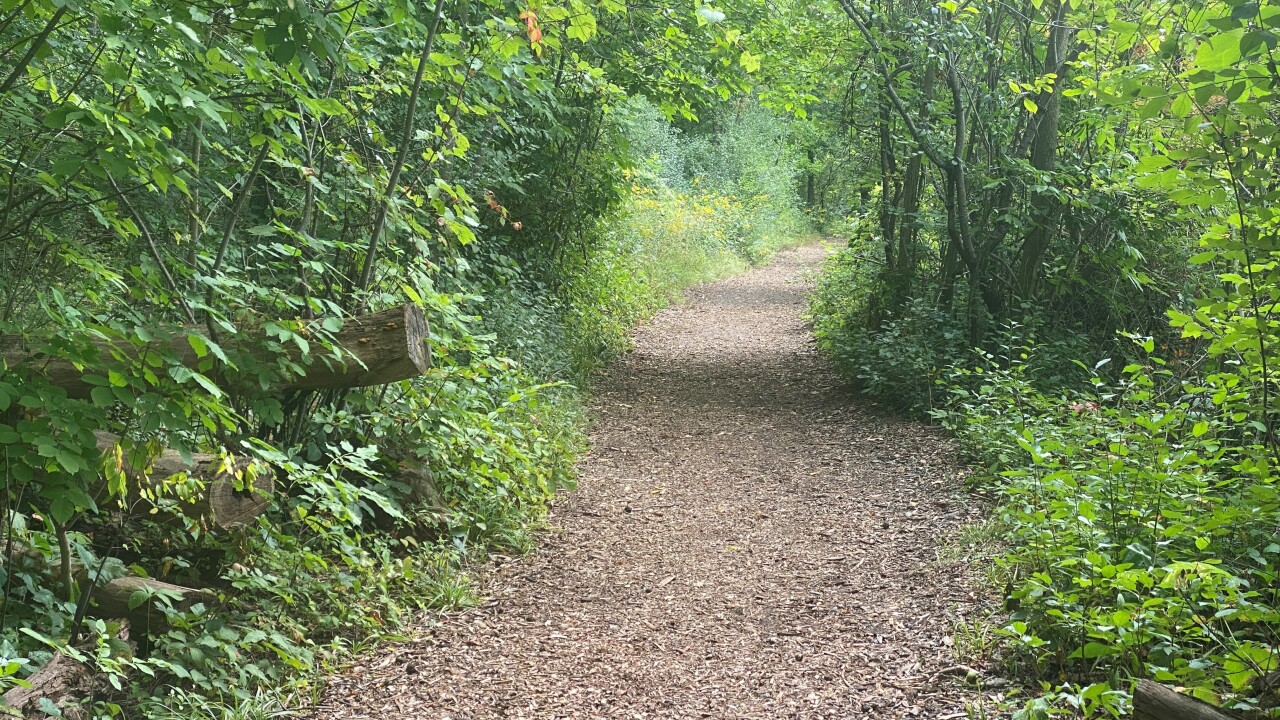 Reed Lake Trail Sexual Assault Scene.jpg
